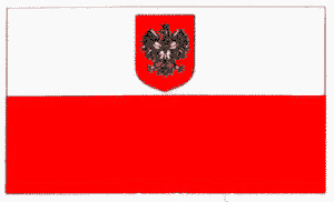 bandera2.jpg (7863 bytes)