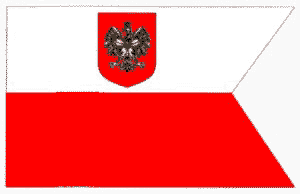 bandera3.jpg (8606 bytes)