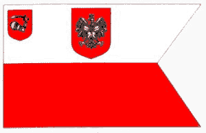 bandera7.jpg (9766 bytes)